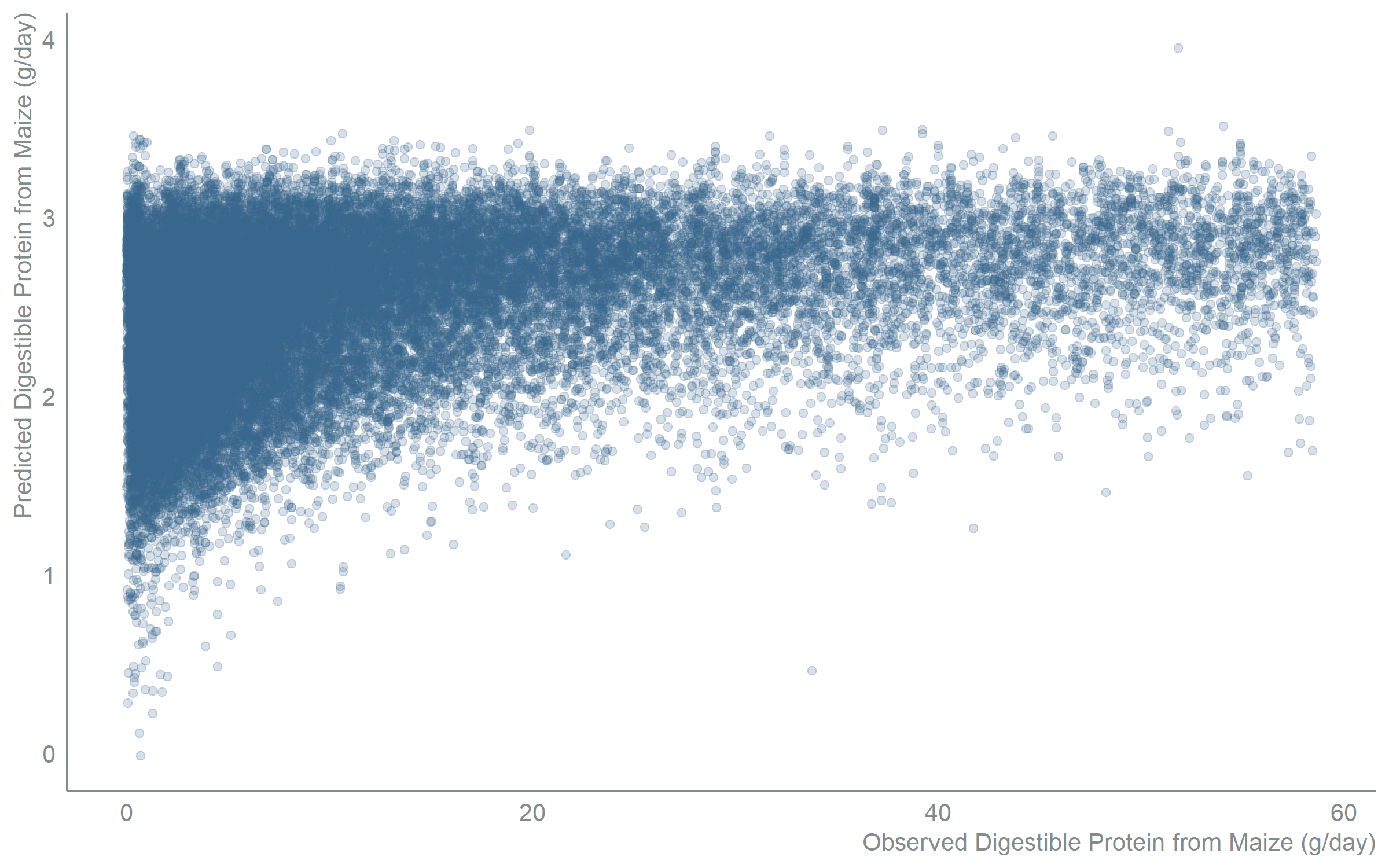 Scatter chart with observed digestible protein from maize in grams per day along the x-axis and the refined model's predicted values along the y-axis. Points follow the same upward diagonal trend as the full model, confirming that dropping non-significant predictors preserves predictive accuracy while simplifying the model.